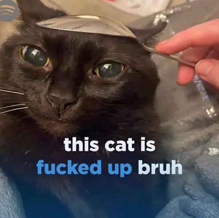 this cat is f----- up bruh