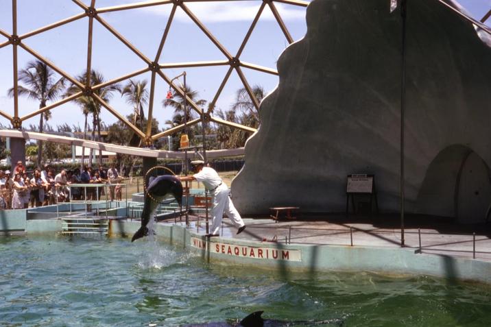 MIAMI SEAQUARIUM