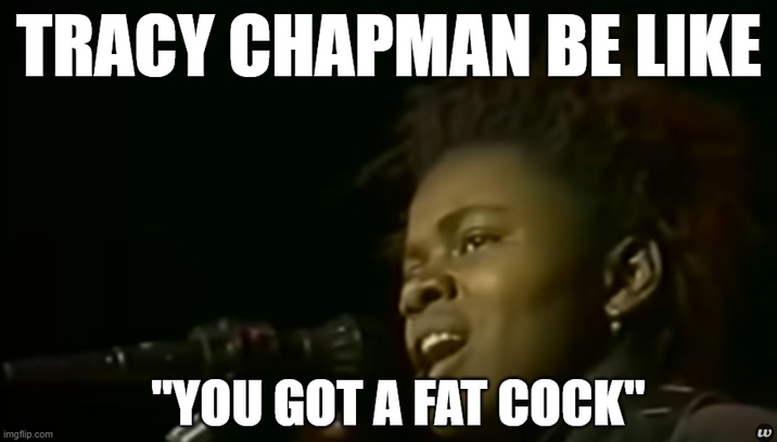 TRACY CHAPMAN BE LIKE "YOU GOT A FAT C---" imgflip.com ש