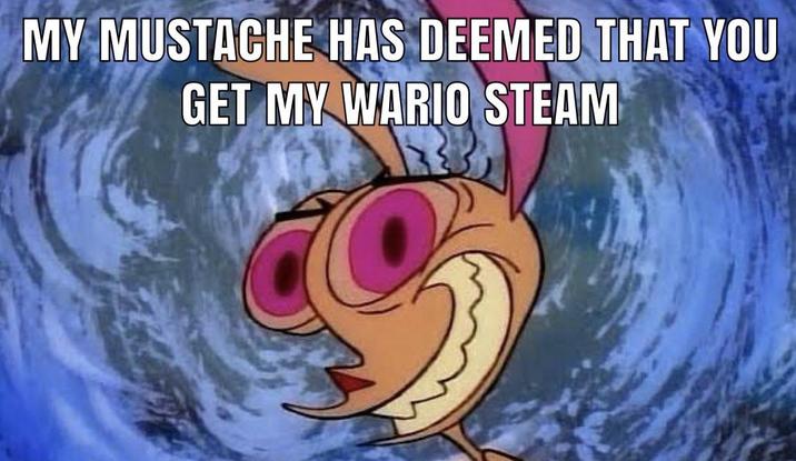 MY MUSTACHE HAS DEEMED THAT YOU GET MY WARIO STEAM