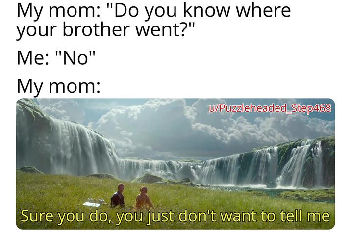My mom: "Do you know where your brother went?" Me: "No" My mom: w/Puzzleheaded Step468 Sure you do, you just don't want to tell me