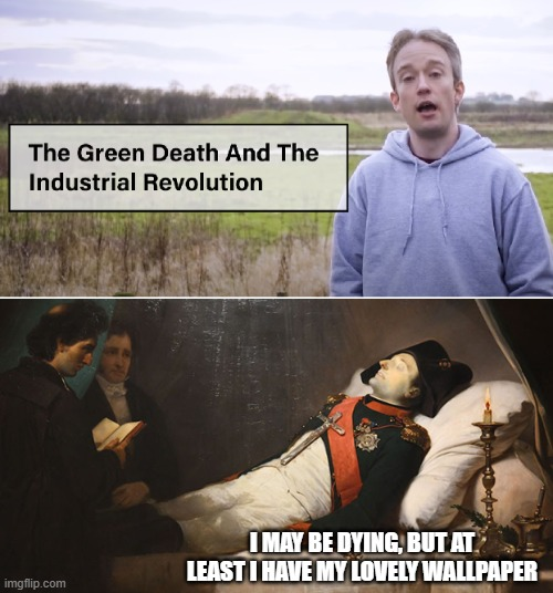 The Green Death And The Industrial Revolution imgflip.com I MAY BE DYING, BUT AT LEAST I HAVE MY LOVELY WALLPAPER