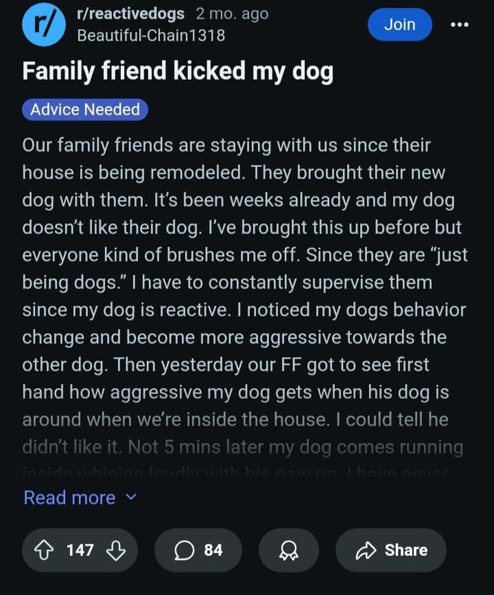 r/reactivedogs 2 mo. ago Beautiful-Chain1318 Family friend kicked my dog Advice Needed Join Our family friends are staying with us since their house is being remodeled. They brought their new dog with them. It's been weeks already and my dog doesn't like their dog. I've brought this up before but everyone kind of brushes me off. Since they are "just being dogs." I have to constantly supervise them since my dog is reactive. I noticed my dogs behavior change and become more aggressive towards the other dog. Then yesterday our FF got to see first hand how aggressive my dog gets when his dog is around when we're inside the house. I could tell he didn't like it. Not 5 mins later my dog comes running inside whining loudly with his naw uin. I have never Read more 147 ☐ 84 Share