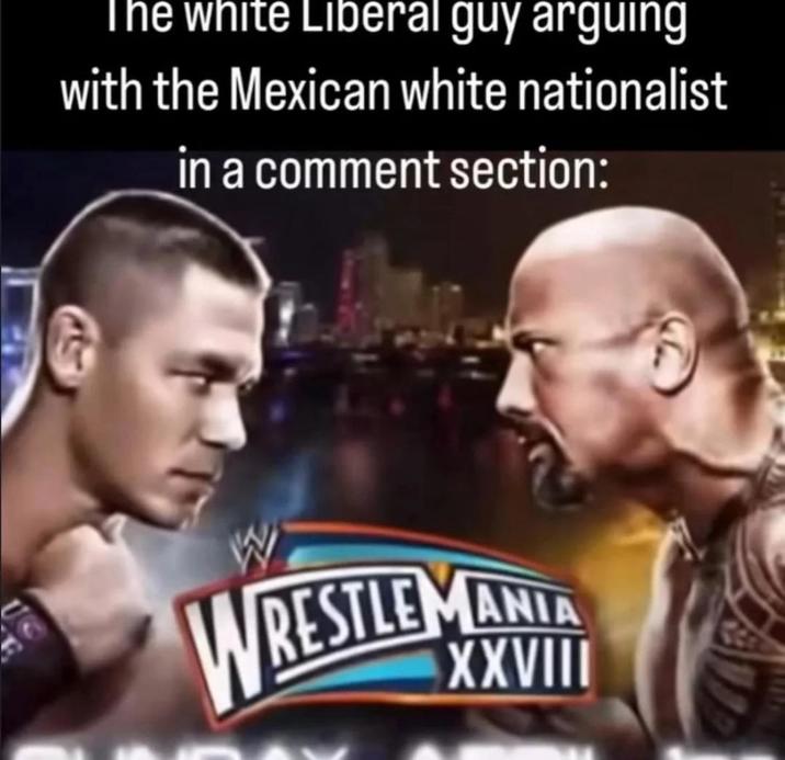 The white Liberal guy arguing with the Mexican white nationalist in a comment section: U W WRESTLEMANIA XXVIII