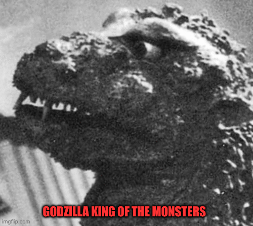 imgflip.com GODZILLA KING OF THE MONSTERS