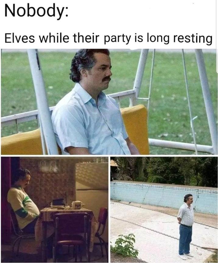 Nobody: Elves while their party is long resting