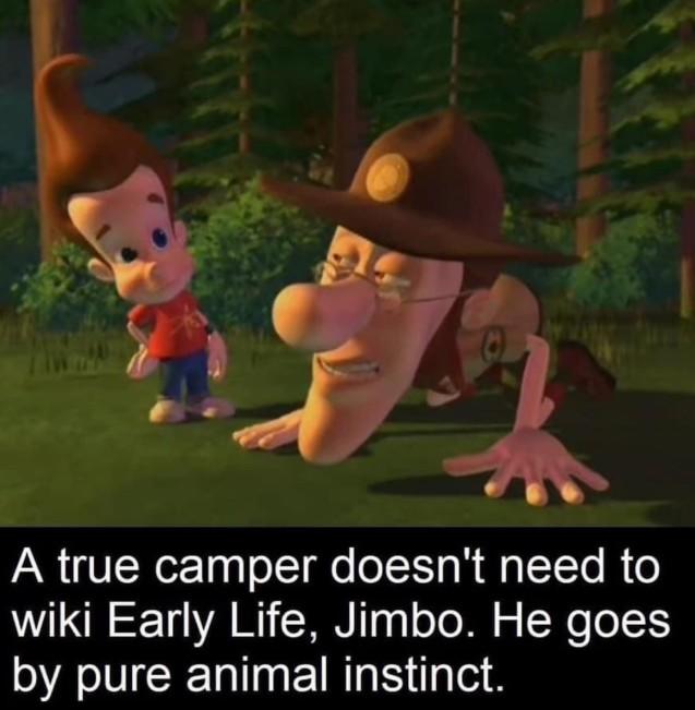 A Jimmy Neutron meme. The meme reads, "A true camper doesn't need to wiki Early Life, Jimbo."