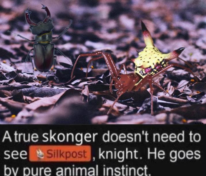 APURM A true skonger doesn't need to see by pure animal instinct. Silkpost, knight. He goes