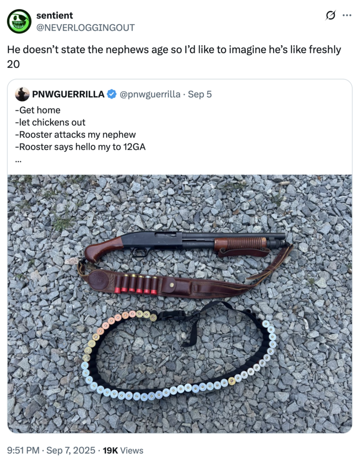 A "quote-tweet":https://knowyourmeme.com/memes/quote-retweets-qrts of the September 2025 "tweet":https://knowyourmeme.com/memes/sites/twitter-x from user @PNWGUERRILLA about him allegedly shooting and killing a rooster with a 12-gauge shotgun because the animal attacked his nephew.