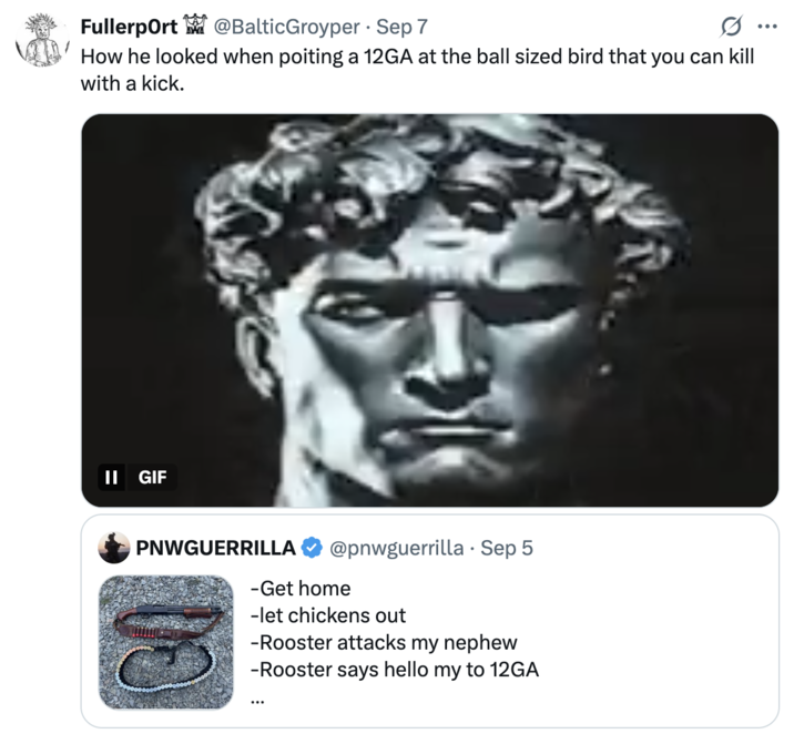 A "quote-tweet":https://knowyourmeme.com/memes/quote-retweets-qrts of the September 2025 "tweet":https://knowyourmeme.com/memes/sites/twitter-x from user @PNWGUERRILLA about him allegedly shooting and killing a rooster with a 12-gauge shotgun because the animal attacked his nephew.