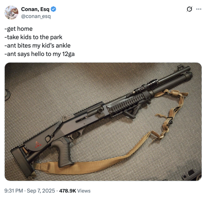 Conan, Esq @conan_esq -get home -take kids to the park -ant bites my kid's ankle -ant says hello to my 12ga 9:31 PM Sep 7, 2025 478.9K Views :
