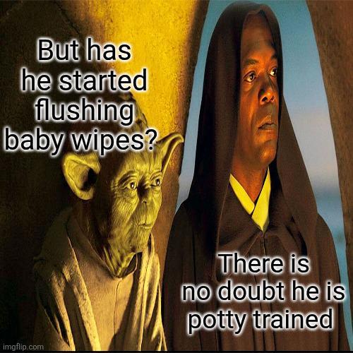 But has he started flushing baby wipes? imgflip.com There is no doubt he is potty trained