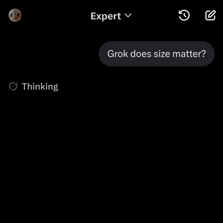 Thinking Expert A Grok does size matter?