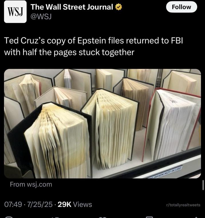 The Wall Street Journal WSJ @WSJ Follow Ted Cruz's copy of Epstein files returned to FBI with half the pages stuck together From wsj.com 07:49 7/25/25 29K Views • WHEN NOT IN USE r/totallyrealtweets