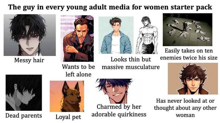 The guy in every young adult media for women starter pack Easily takes on ten Messy hair Wants to be left alone Looks thin but massive musculature enemies twice his size Dead parents Charmed by her adorable quirkiness Loyal pet Has never looked at or thought about any other woman