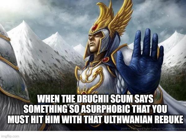 WHEN THE DRUCHII SCUM SAYS SOMETHING SO ASURPHOBIC THAT YOU MUST HIT HIM WITH THAT ULTHWANIAN REBUKE imgflip.com 2000 Posay Flight Games / Games