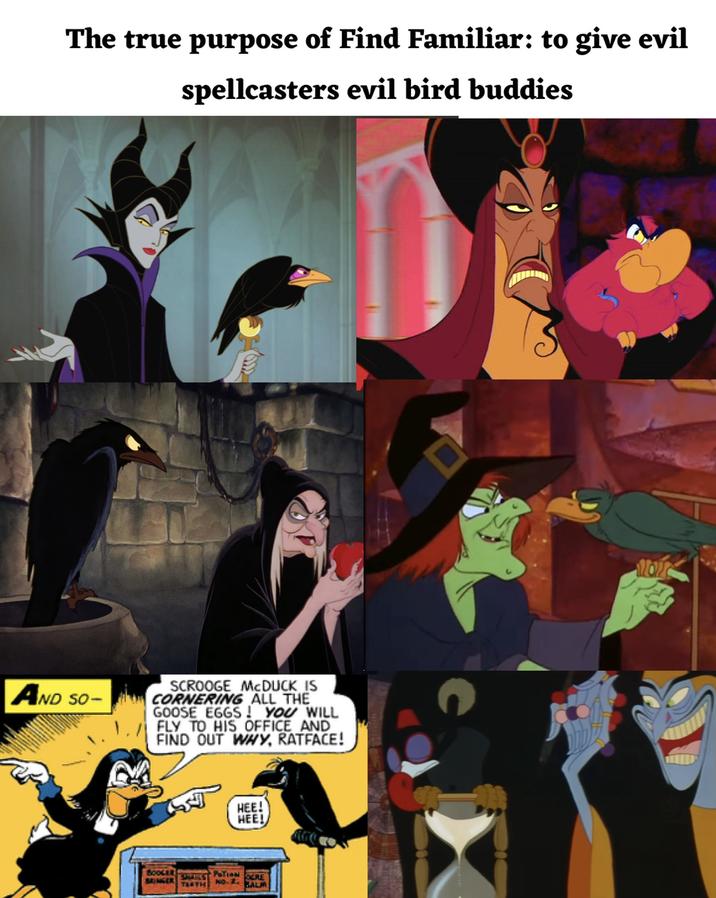 The true purpose of Find Familiar: to give evil spellcasters evil bird buddies AND SO- SCROOGE MCDUCK IS CORNERING ALL THE GOOSE EGGS! YOU WILL FLY TO HIS OFFICE AND FIND OUT WHY, RATFACE! BOOGER SRINGER TERTH HEE! HEE! PATION SCRE NO. ALM