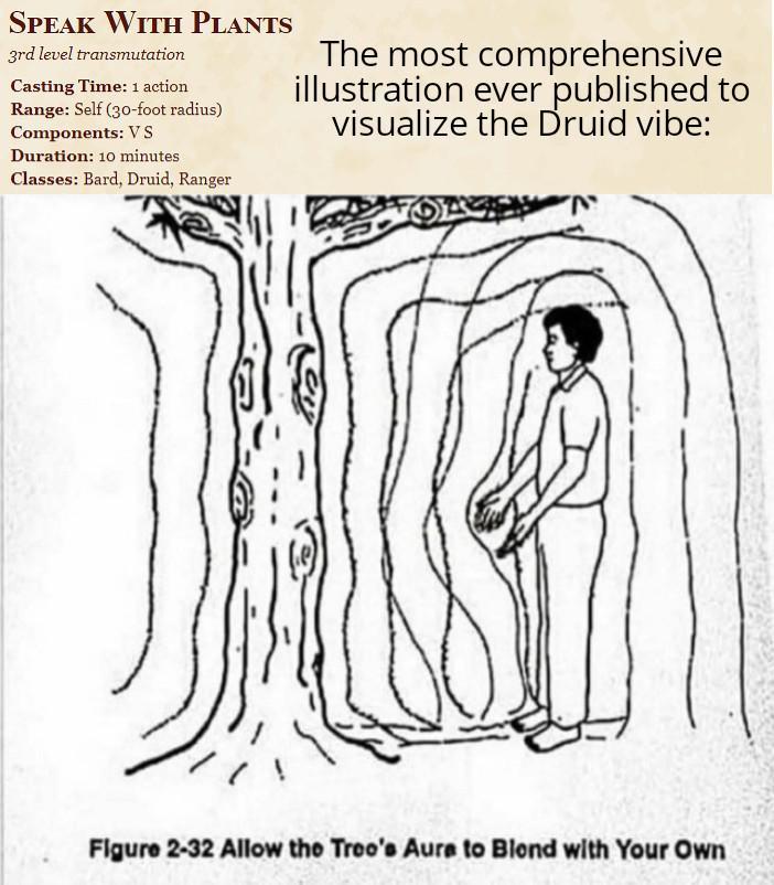SPEAK WITH PLANTS 3rd level transmutation Casting Time: 1 action Range: Self (30-foot radius) Components: VS Duration: 10 minutes Classes: Bard, Druid, Ranger The most comprehensive illustration ever published to visualize the Druid vibe: Figure 2-32 Allow the Tree's Aure to Blond with Your Own