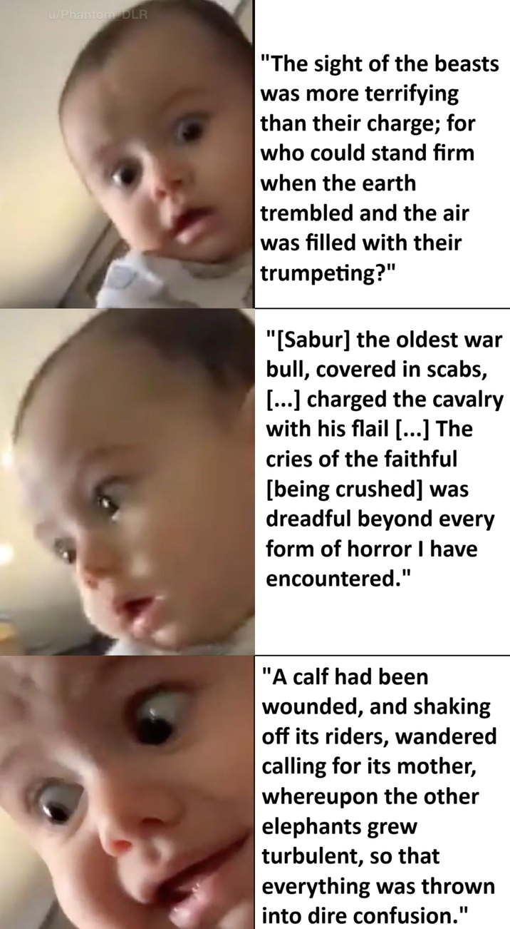 u/Phantom DLR "The sight of the beasts was more terrifying than their charge; for who could stand firm when the earth trembled and the air was filled with their trumpeting?" "[Sabur] the oldest war bull, covered in scabs, [...] charged the cavalry with his flail [...] The cries of the faithful [being crushed] was dreadful beyond every form of horror I have encountered." "A calf had been wounded, and shaking off its riders, wandered calling for its mother, whereupon the other elephants grew turbulent, so that everything was thrown into dire confusion."