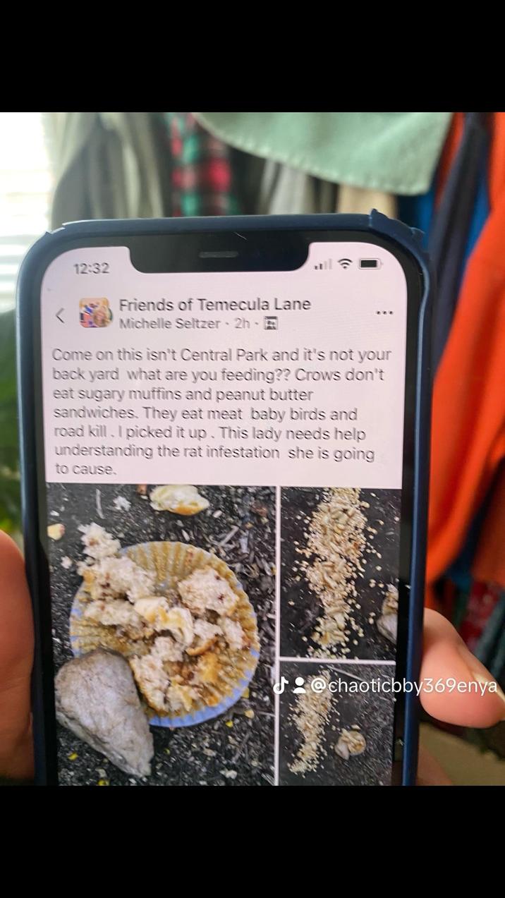 > 12:32 Friends of Temecula Lane Michelle Seltzer -2h- Come on this isn't Central Park and it's not your back yard what are you feeding?? Crows don't eat sugary muffins and peanut butter sandwiches. They eat meat baby birds and road kill. I picked it up. This lady needs help understanding the rat infestation she is going to cause. Մ @chaoticbby369enya