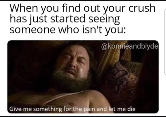 When you find out your crush has just started seeing someone who isn't you: @konnieandblyde Give me something for the pain and let me die