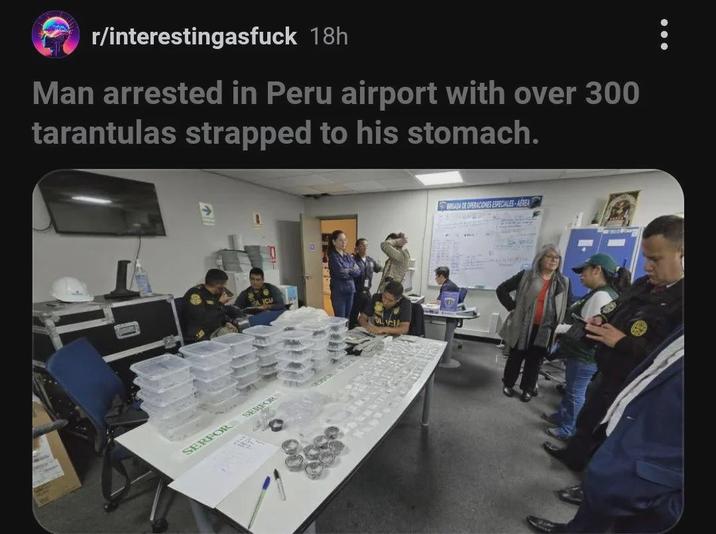 r/interestingasfuck 18h Man arrested in Peru airport with over 300 tarantulas strapped to his stomach. SERFOR SERFOR GADA DE OPERACIONES ESPECIALES AEREA