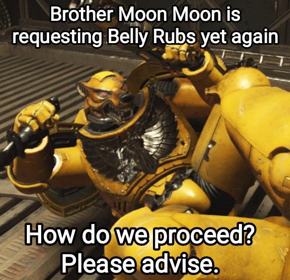Brother Moon Moon is requesting Belly Rubs yet again How do we proceed? Please advise.