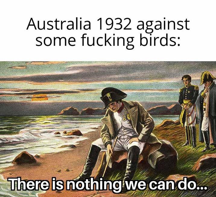 Australia 1932 against some f------ birds: There is nothing we can do...