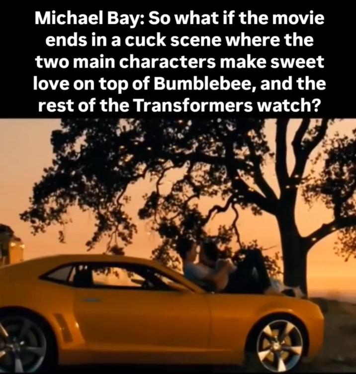 Michael Bay: So what if the movie ends in a cuck scene where the two main characters make sweet love on top of Bumblebee, and the rest of the Transformers watch?