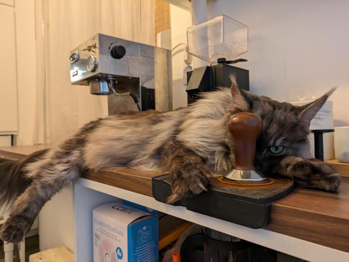 Call FLOWER FOUNTAIN איזור 6x