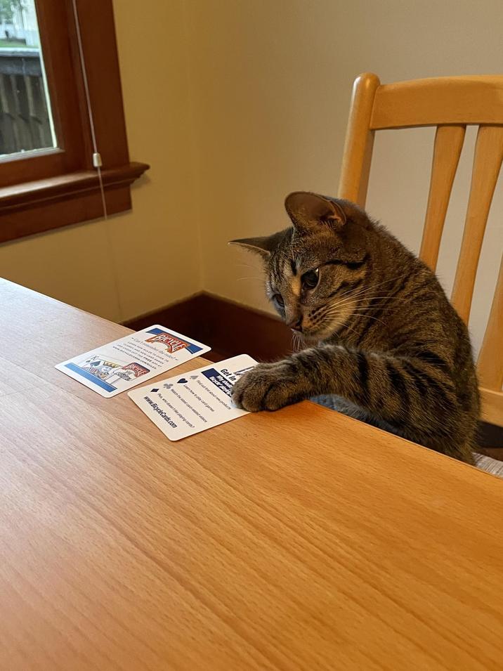 Camber the rales! Get In Byder playing Fedad about new products Lean how to play card games Wathest carded videos Pushe does playing cards? www.BicycleCards.com