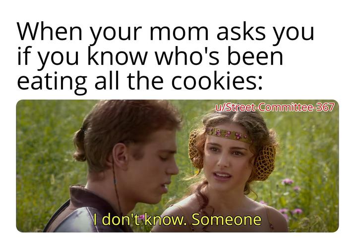 When your mom asks you if you know who's been eating all the cookies: w/Street-Committee-367 I don't know. Someone