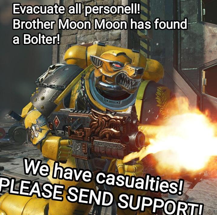 Evacuate all personell! Brother Moon Moon has found a Bolter! ALLE We have casualties! PLEASE SEND SUPPORT!