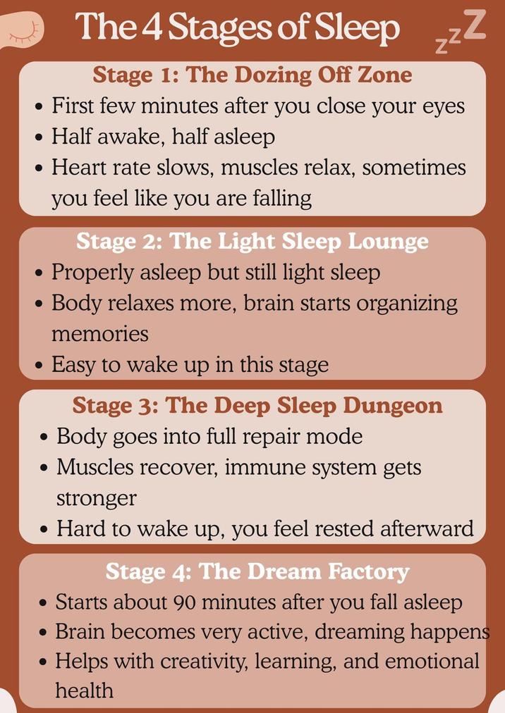 The 4 Stages of Sleep zzz Stage 1: The Dozing Off Zone • First few minutes after you close your eyes • Half awake, half asleep • Heart rate slows, muscles relax, sometimes ● ● ● you feel like you are falling Stage 2: The Light Sleep Lounge · Properly asleep but still light sleep Body relaxes more, brain starts organizing memories Easy to wake up in this stage Stage 3: The Deep Sleep Dungeon Body goes into full repair mode • Muscles recover, immune system gets stronger • Hard to wake up, you feel rested afterward Stage 4: The Dream Factory • Starts about 90 minutes after you fall asleep • Brain becomes very active, dreaming happens Helps with creativity, learning, and emotional health