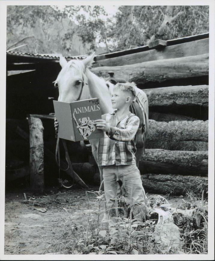 ANIMALS