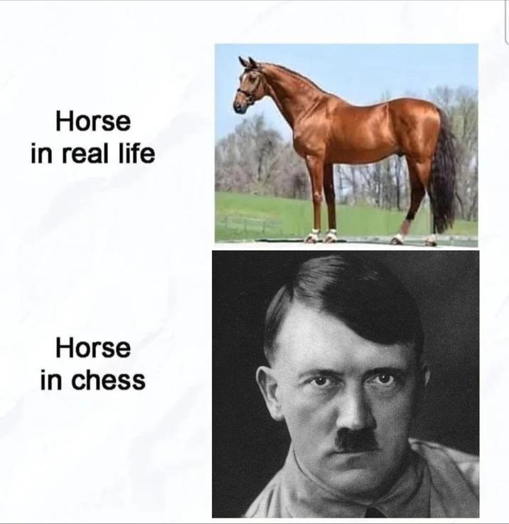Horse in real life Horse in chess