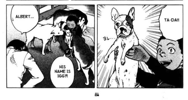 ALBERT... HIS NAME IS IGGY! 81 ヨレ・ TA-DA!!