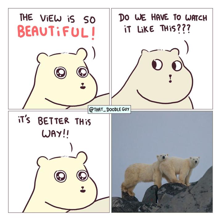 THE VIEW is SO BEAUTIFUL! DO WE HAVE TO WATCH iT LIKE THIS??? IT'S BETTER THIS WAY!! @THAT_DOODLE GUY lemire