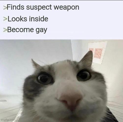Imagine being the FBI who found the ammo casing | /r/dankmemes | Know ...