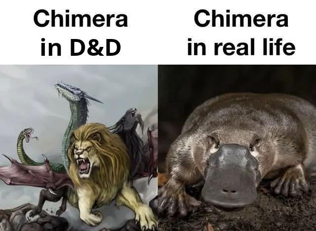 Chimera in D&D Chimera in real life