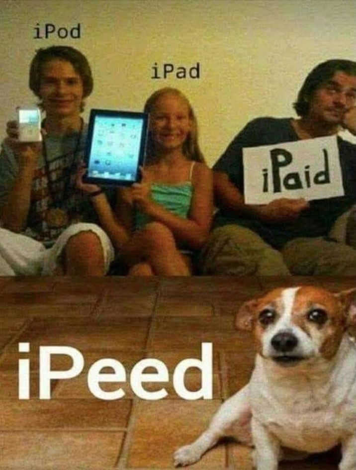 iPod iPad iPeed iPaid