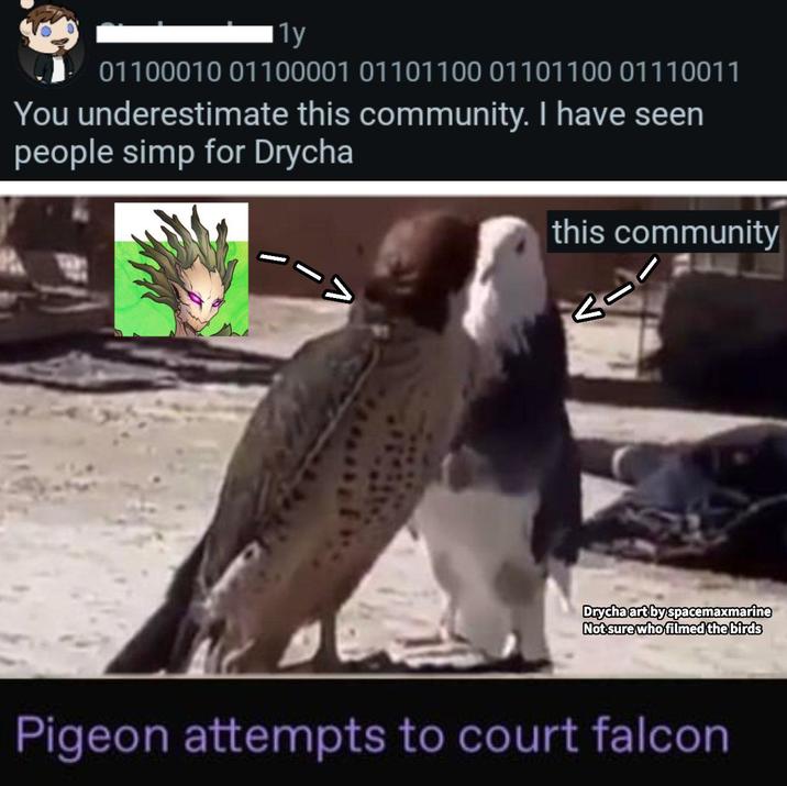 1y 01100010 01100001 01101100 01101100 01110011 You underestimate this community. I have seen people simp for Drycha this community Drycha art by spacemaxmarine Not sure who filmed the birds Pigeon attempts to court falcon
