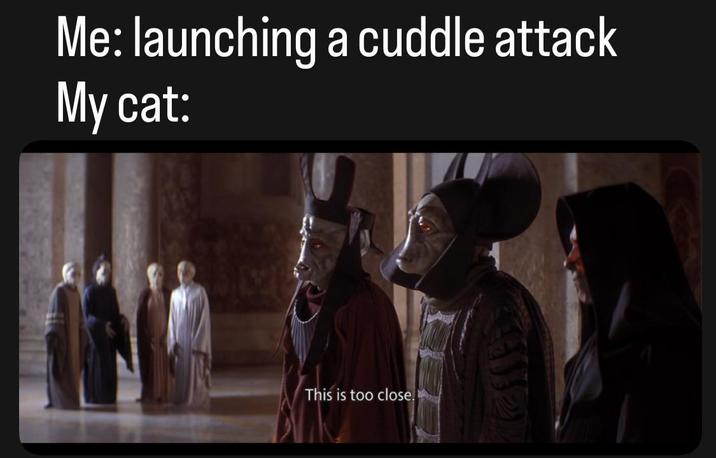 Me: launching a cuddle attack My cat: This is too close.