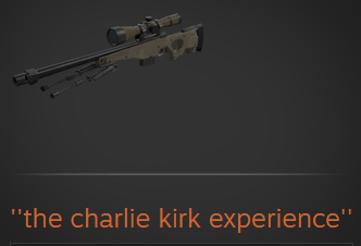 "the charlie kirk experience"