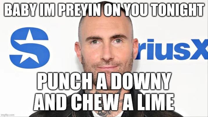 BABY IM PREYIN ON YOU TONIGHT imgflip.com S riusX PUNCH A DOWNY AND CHEW A LIME