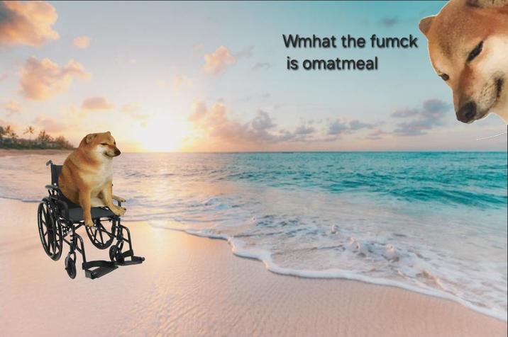 Wmhat the fumck is omatmeal