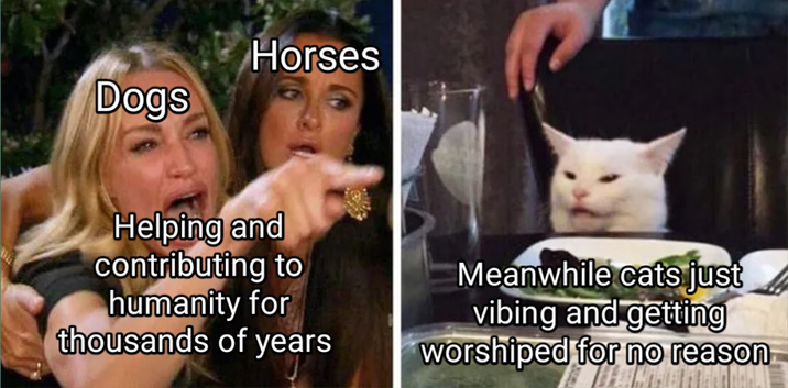 Dogs Horses Helping and contributing to humanity for Meanwhile cats just vibing and getting thousands of years worshiped for no reason
