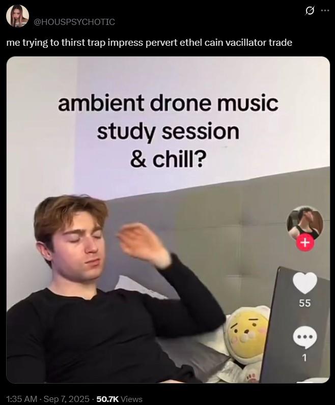 me trying to thirst trap impress pervert ethel cain vacillator trade @HOUSPSYCHOTIC me trying to thirst trap impress pervert ethel cain vacillator trade ambient drone music study session & chill? 1:35 AM - Sep 7, 2025 - 50.7K Views 55 55 € 1