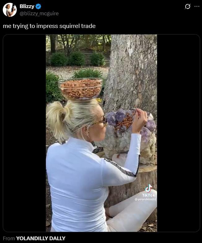 me trying to impress squirrel trade Blizzy @blizzy_mcguire me trying to impress squirrel trade From YOLANDILLY DALLY Tik Tok @yolandahadid