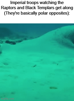 Imperial troops watching the Raptors and Black Templars get along (They're basically polar opposites):